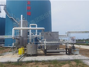 高密市粪污资源化利用沼气脱硫工程