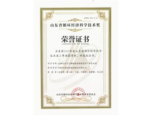 热烈：谹G真人国际环境集团获得2021年度山东省循环经济科学技术奖二等奖