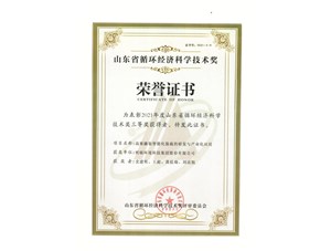热烈：谹G真人国际环境集团获得2021年度山东省循环经济科学技术奖三等奖